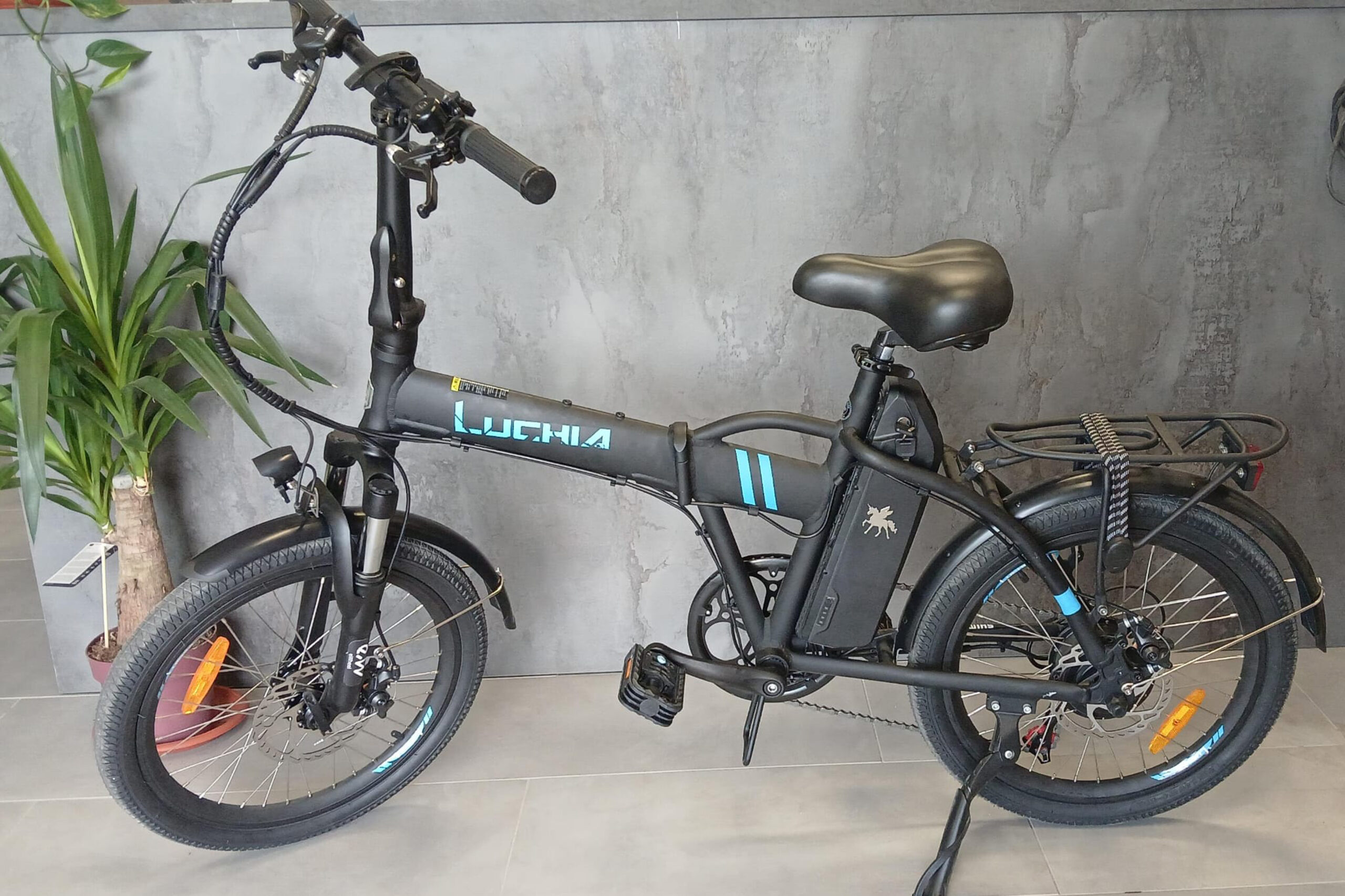 ebikeuomo